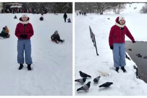 Сможете ли вы отличить сгенерированные вещи от настоящих?