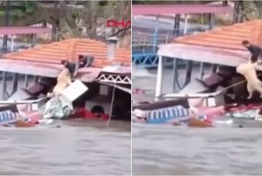 В Турции спасли собаку, которая едва не утонула во время мощного наводнения