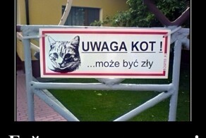 Демотиваторы на злобу дня