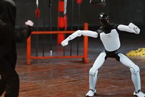 Робот мастер кунг-фу