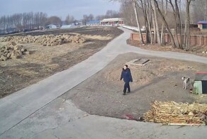 Пёс навёл суету