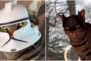 Парень печатает головные уборы для своего кота