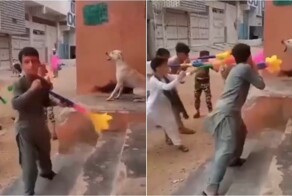 В Сирии школьники издевались над собакой с помощью вувузел