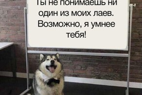 Скрины из соцсетей