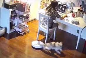 Реакция на пылесос