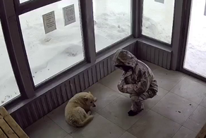 В Нефтекамске мужик решил самоутвердиться за счёт собаки, избив её на ровном месте