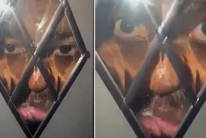 В Англии неизвестный ночью смотрел в стеклянную дверь дома