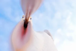 30 фото, доказывающих, что чудо гораздо ближе, чем мы думаем