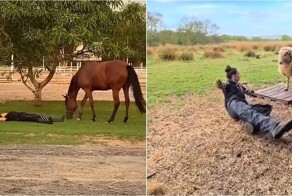 Видео-подборка: забавная реакция животных на обморок
