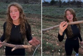 Как найти радость в жизни: лес, палка и немного времени для себя