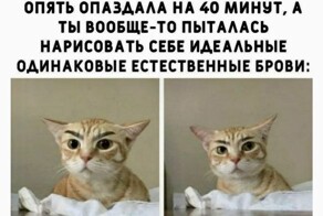 Весëлые картинки