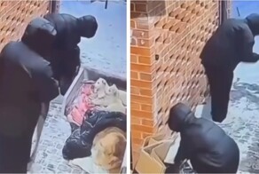 В Воронеже женщины разорили тёплый уголок для щенков и облили его хлоркой