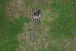 В Индонезии нашли рекордного сетчатого питона длиной 7,2 метра