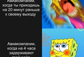 Летаем по-новому: Минтранс обновил правила авиаперевозок с 1 марта