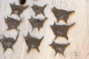 30 фото котов, глядя на которые можно прожить понедельник с улыбкой