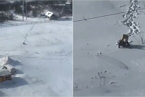 В Рязани курьер пробился через сугробы ради доставки заказа