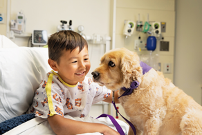 Неожиданно: собачники болеют раком на 64% реже остальных людей