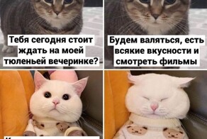 Весëлые картинки