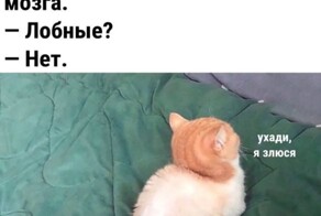 Весëлые картинки