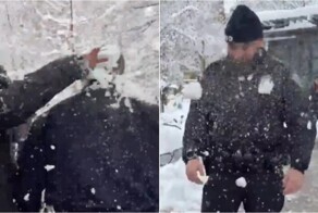 Полицейских закидали снежками в парке Нью-Йорка