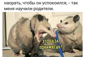 Весëлые картинки