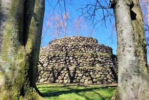 Вавилонская башня пивного короля: зачем шведский магнат построил гору для своих пёселей