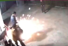 Собака неприятно удивила жителей китайского города