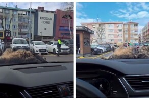 Кот заснул на капоте автомобиля жителя Турции