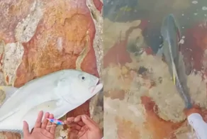 Рыбак хотел отпустить улов, но всё пошло не по плану