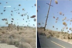 Редкие пылевые вихри Лос-Анджелеса: природа в движении