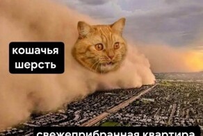 Весëлые картинки