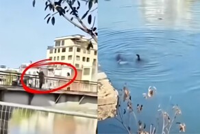 Мужчина бросил маленького сына в реку с моста во время семейного скандала