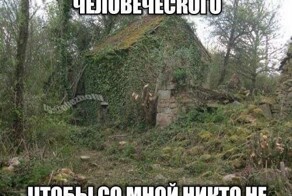 Скрины из соцсетей