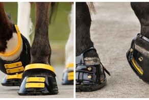 Кроссовки для лошадей