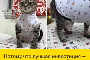 Весëлые картинки