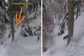 Сноубордисты наткнулись на разъяренную медведицу в Красной поляне