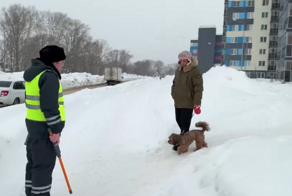 В Казани прошел рейд по выявлению нечипированных собак