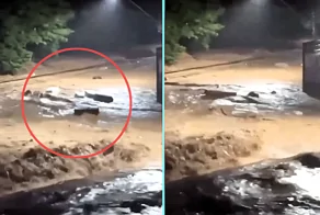 Бразильцы сняли плывущие по улицам города гробы