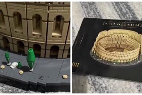 Кот оценил набор LEGO