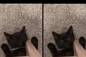 Смешные картинки