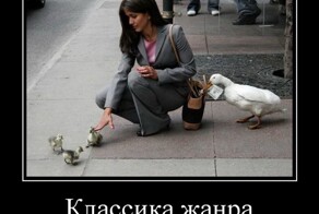 Демотиваторы, которые ударят позитивом