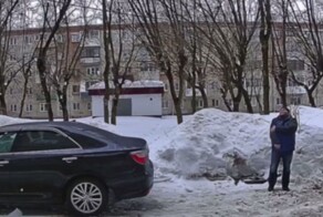 В Подмосковье на мужчину упала глыба льда