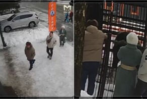 В Токсово медведя спасли после передозировки сладкой сгущёнки