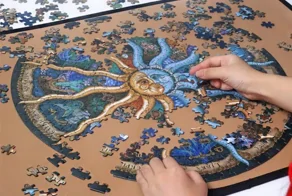 Склеить, разобрать или выбросить?: пользователи пытаются понять и решить проблему каждого собравшего огромный пазл