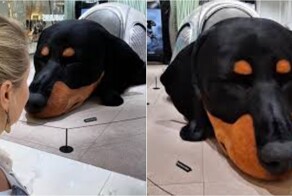 В Таиланде создали огромную модель таксы, которая реалистично похожа на настоящую собаку