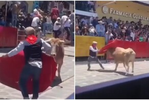 Друг всегда поможет