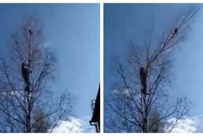 Спасение пошло не по плану