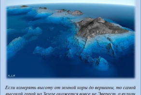 Увлекательные факты (20 фото)