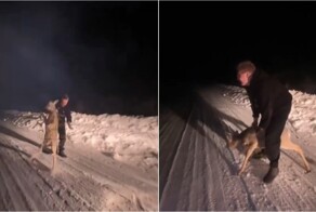 Сын замглавы свердловского поселка швырнул косулёнка об асфальт