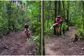 На переднем колесе в дерево